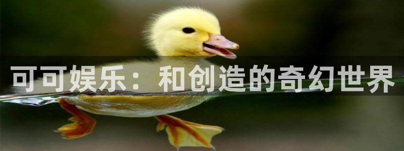 one游戏网站