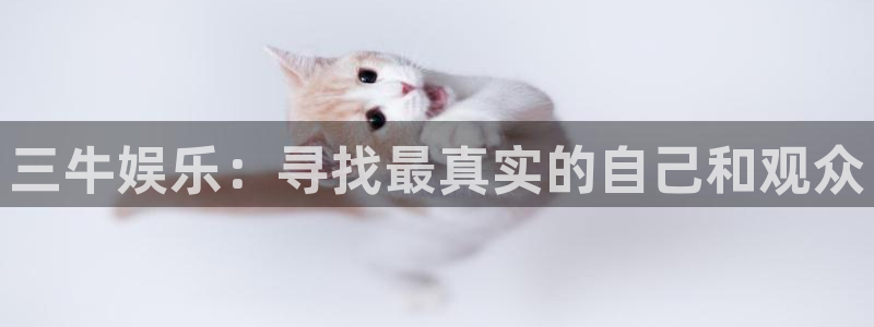 one游戏官网