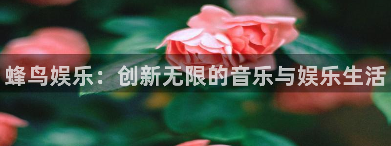 one游戏平台官网入口