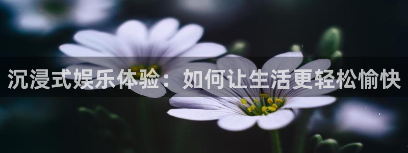 one游戏