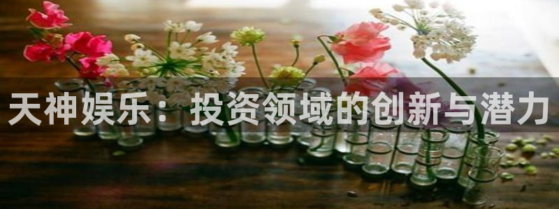one游戏网站